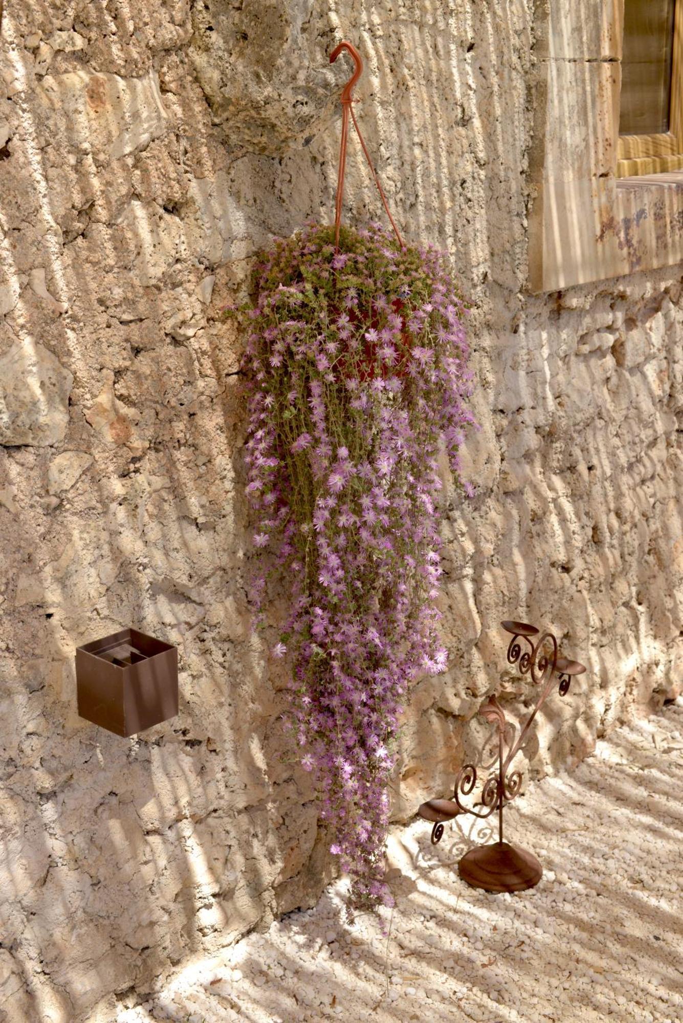 Casa Imayah Charming B&B Νότο Εξωτερικό φωτογραφία